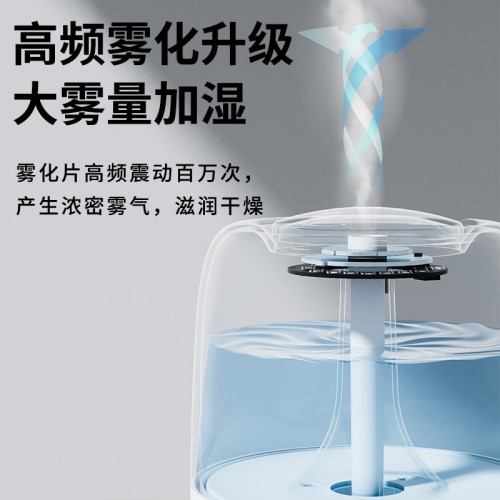 Humidifier H25