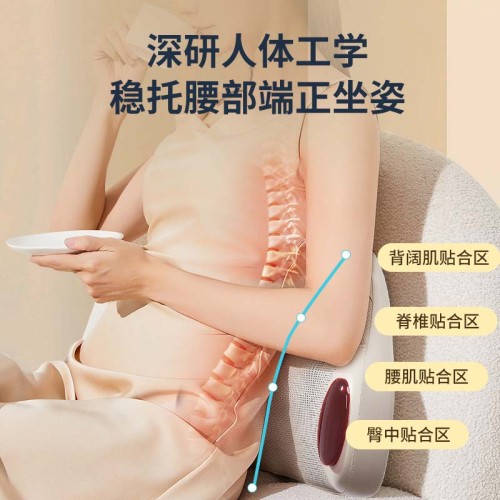 Belly And Waist Massager M91